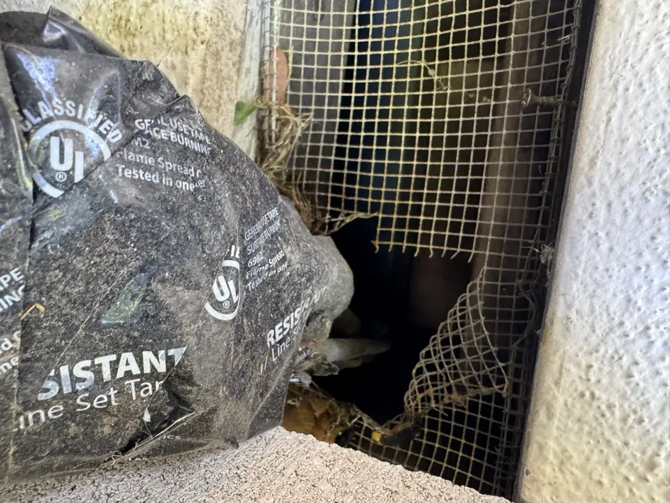 Assessing Electrical Wire Damage During an Attic Insulation Cleanout