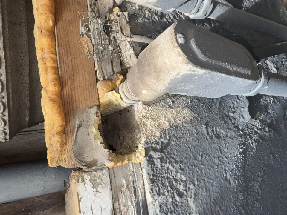 Roof Rats vs. Norway Rats: Identifying the Culprit by Property Damage Patterns