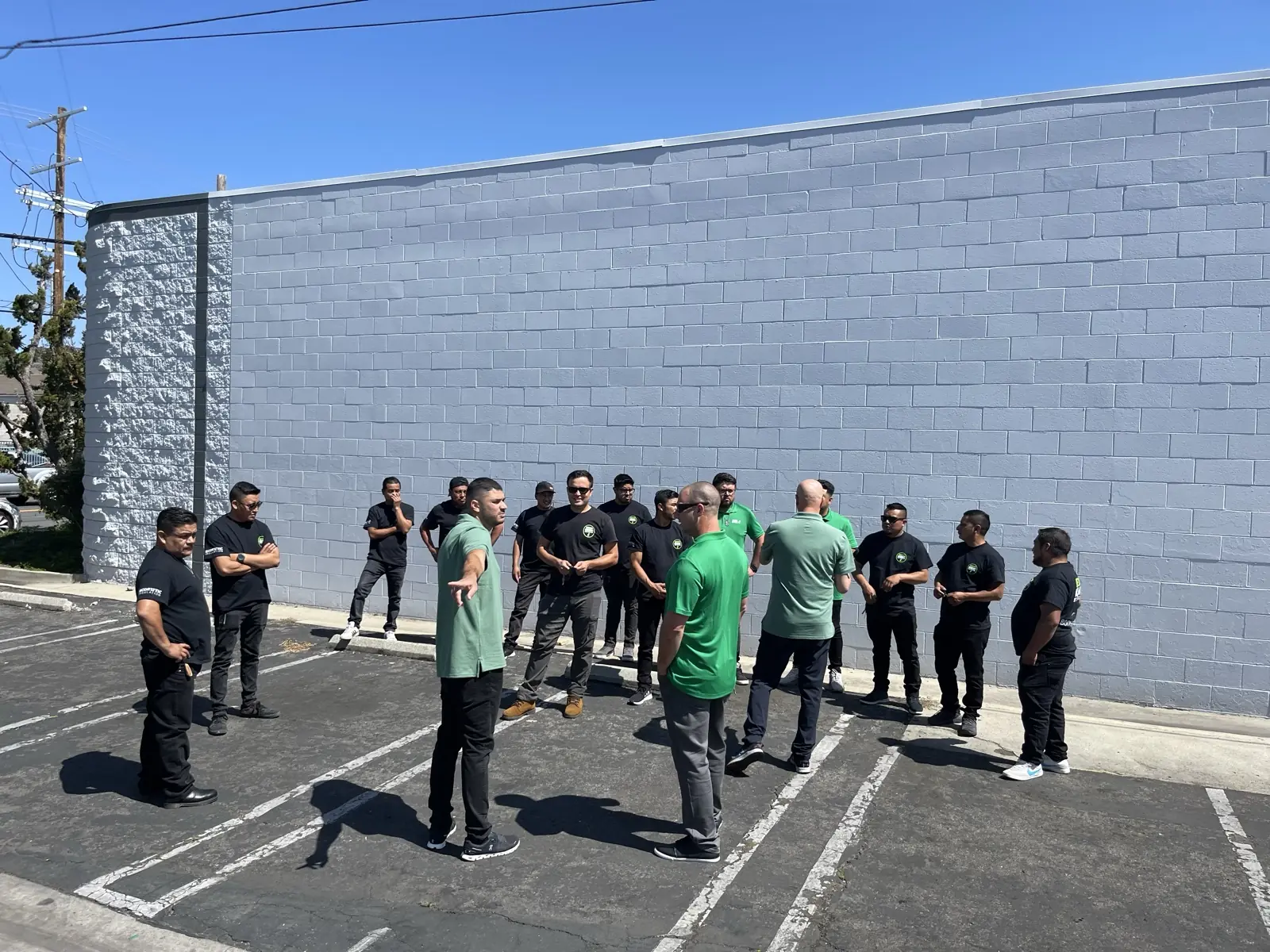 The Green Rodent Restoration crew lined up in the yard at headquarters