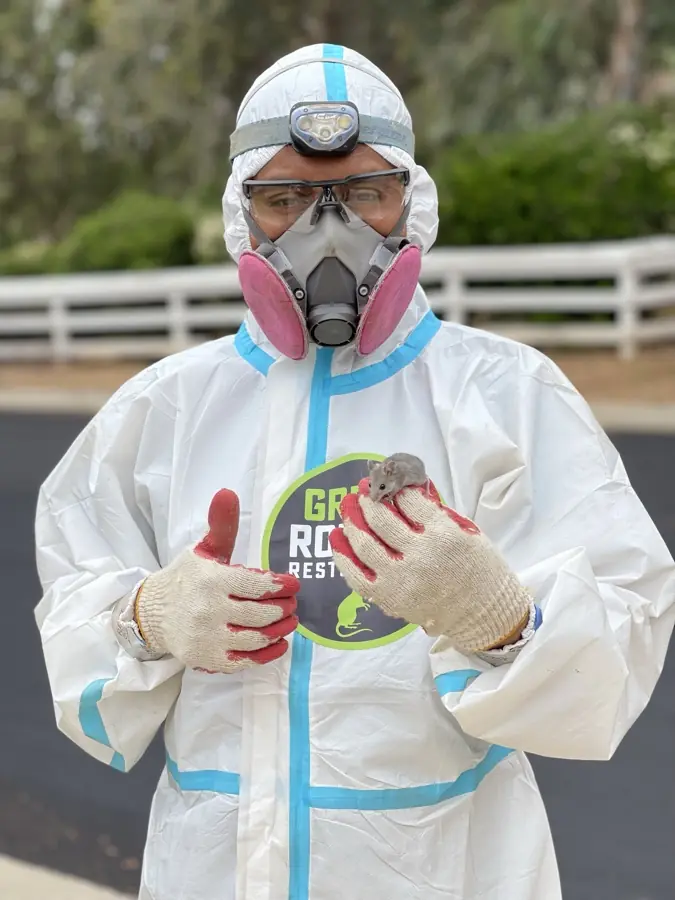Technician in a protective suit holding a live caught mouse in gloved hands
