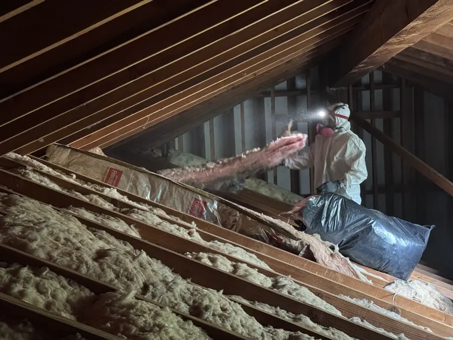 Technician in a protective suit clearing contaminated insulation from an attic