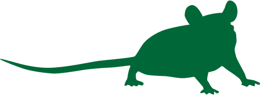 The House Mouse silhouette