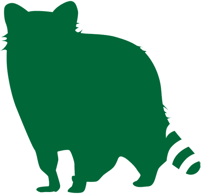 The Raccoon silhouette