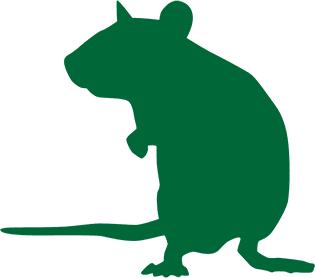The Roof Rat silhouette